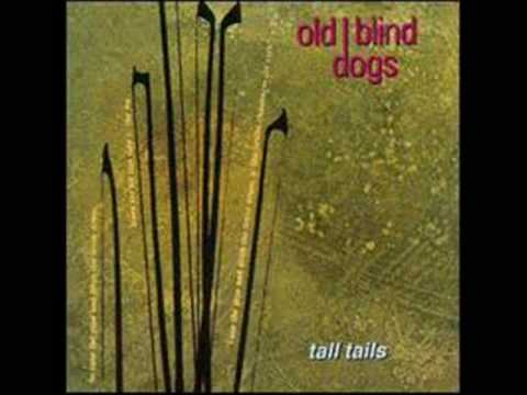 Old Blind Dogs -- Pills of White Mercury