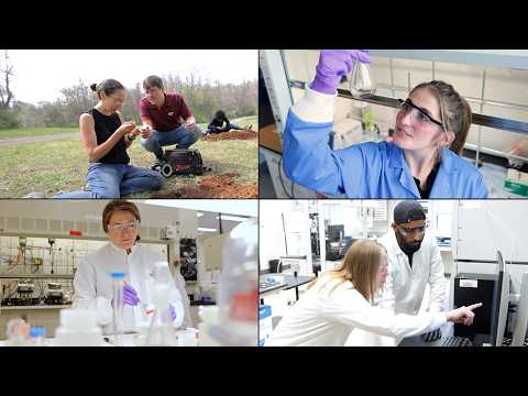 The future of polymers: biodegradable solutions to a global challenge