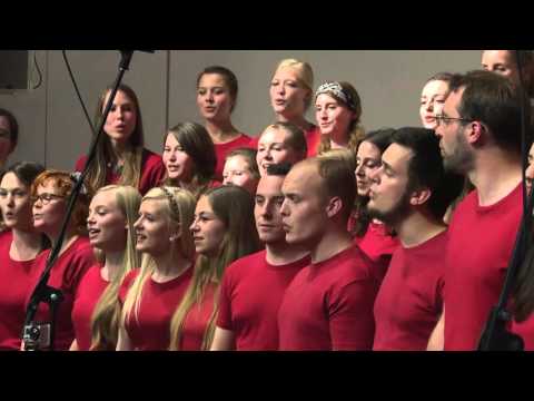 Choriosity sings the Gummi Bears Theme Song - a cappella