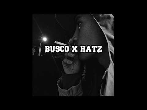 BUSCO x HATZ