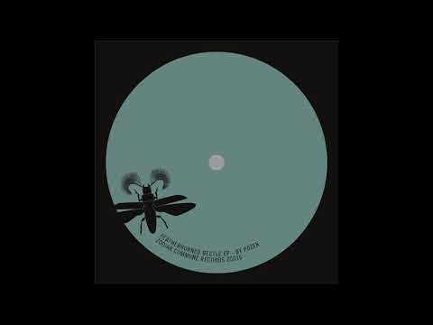 Zodiak Commune Records 016 -  Featherhorned Beetle EP - MTHZK - B1 - Apfelbraun