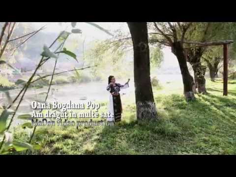 Oana Bogdana Pop - Am dragut in multe sate