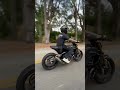 Best Sounding Motorcycle Exhaust I’ve Ever Heard! #shorts #motorcycle