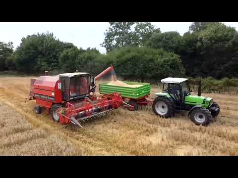 Landgut etz in der ernte