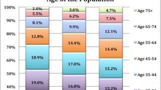 preview picture of video 'Dental Demographic Reports'