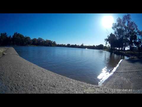 TFL ZONDA 41" carbon fibre cat