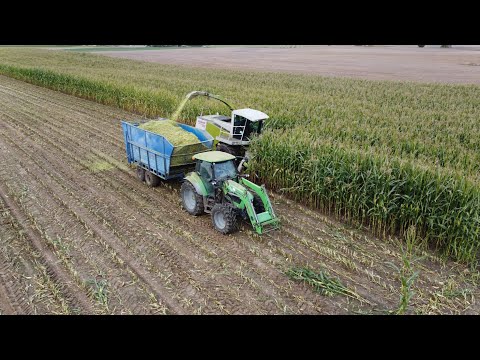 🔥Pełnometrażowe koszenie kukurydzy 2022🔥Wtopa DF!!???🔥Jaguar w akcji🔥kuba6400🔥