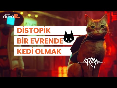 İnsanı kedileştiren oyun Stray neden çok sevildi?