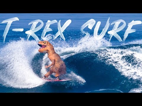 WE SURFED IN T-REX SUITS