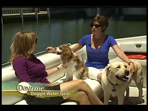 Paws Aboard on NBC's Daytime