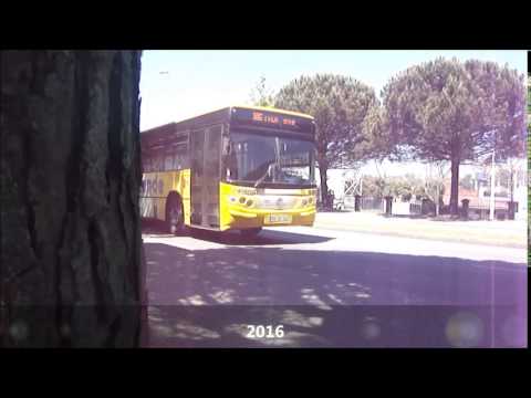 0834 🇵🇹 Matosinhos 🚌 Resende 991, line 105: Rotunda da Areosa ➙ Leça