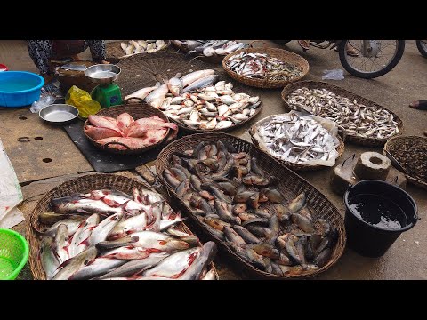 2024 The reality life in Cambodian Market Food Compilation in Phnom Penh - Fish, Meat and Vegetable