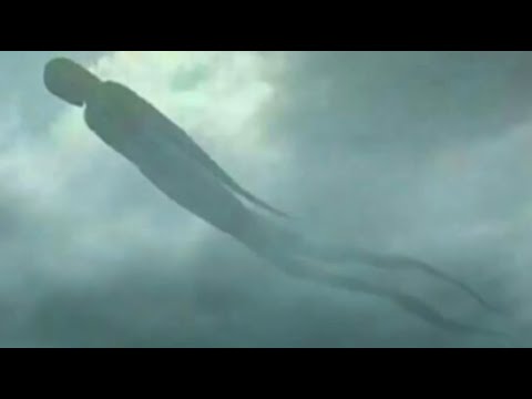 空の神秘的な形: これは NASA が大気中で発見したものです