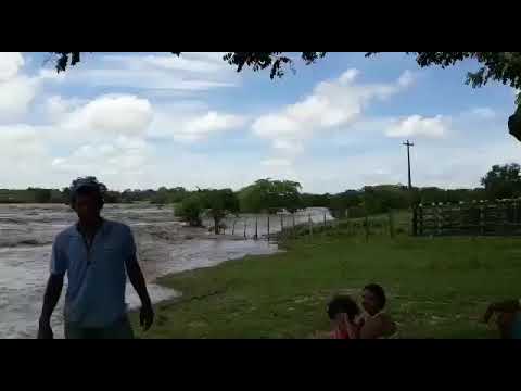 Capelinha  distrito de Major Izidoro Al , o povo está ilhado 