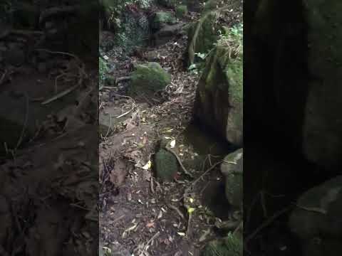 Gruta La Llorona, La Paloma, Durazno 🇺🇾 #relax #nature #relaxing #relaxingmusic #meditationmusic