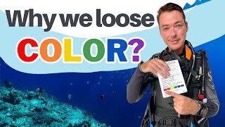 What Happens to Color Underwater and Why do Objects Look Bigger in Water -Beginner Scuba Diving Tips