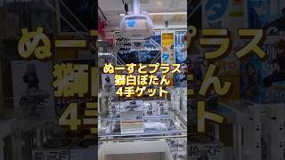 ぬーどるストッパーフィギュアプラス－獅白ぼたん－ 4手ゲット #ホロライブ #獅白ぼたん #クレーンゲーム #橋渡し