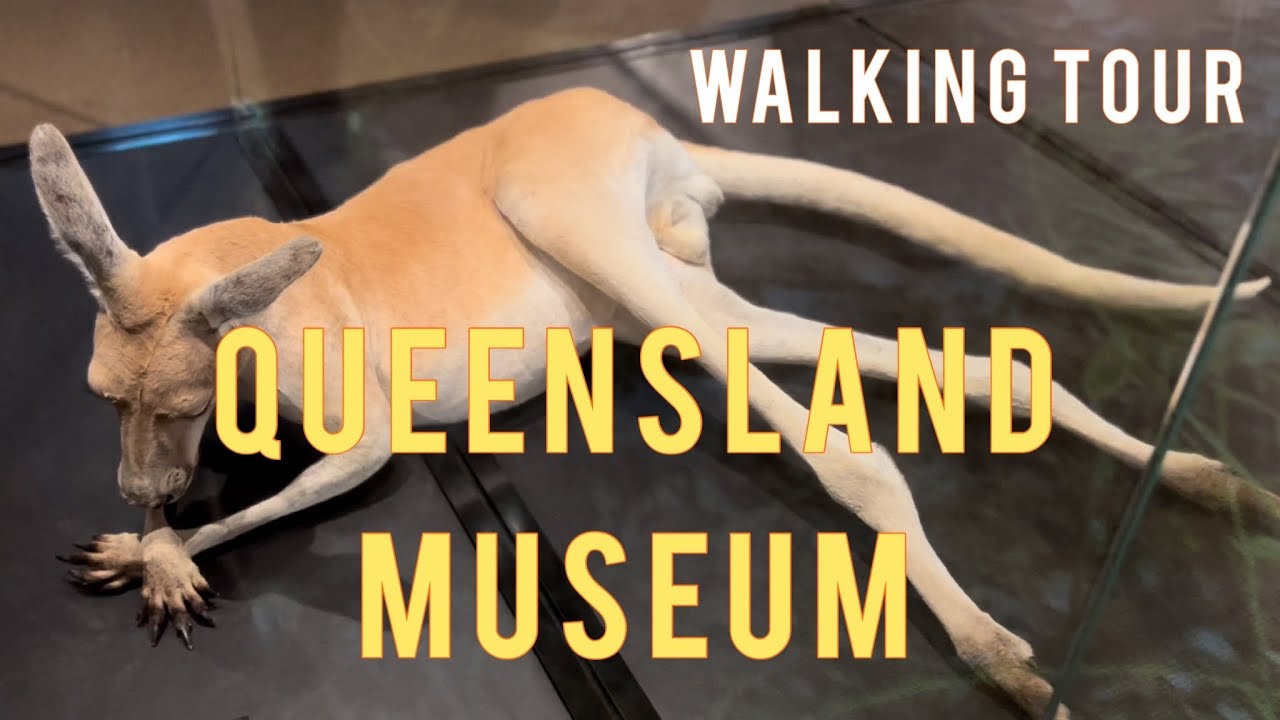 Embark on a walking tour across Queensland Museum.