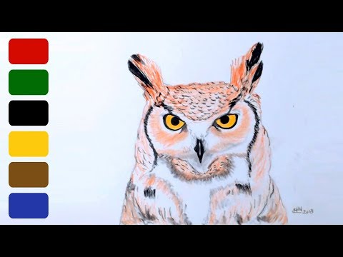How to Draw a Owl - Great Horned Owl