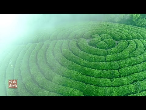 The Wonders of Banan in 90 seconds