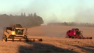 preview picture of video 'Harvest 2010: 2x New Holland / 1x Case IH'