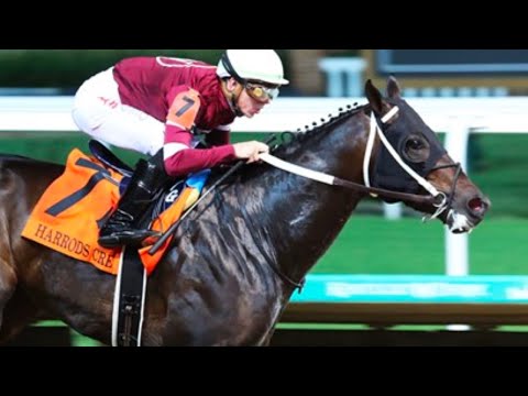 Gunite wins the 2022 Harrods Creek Stakes