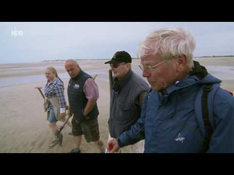 mareTV Amrum   Zwischen Kniepsand und Wattenmeer