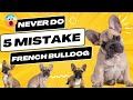 Never Do These 5 Mistake With Your French Bulldog In Hindi