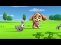Redone Songs Animal Friend Song READ DESCRIPTION