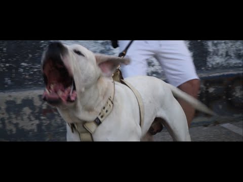 JERRY x VOLDOG - DEN EXOUN LOGO / ΔΕΝ ΕΧΟΥΝ ΛΟΓΟ (Prod. by Lazerdip) (official video 4Κ)