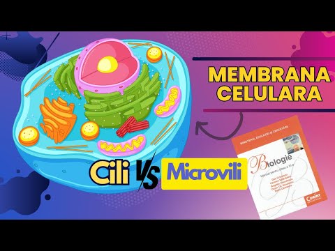 Cell For MEDICINE - Cell MEMBRANE and extensions