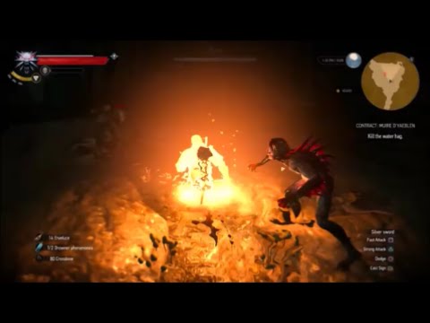 The Witcher 3 Wild Hunt (PS4) - Contract: Muire D'Yaeblen