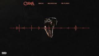 Waka Flocka Flame &amp; Drake - Cobra Clap [Prod. JAYBeatz] #HVLM