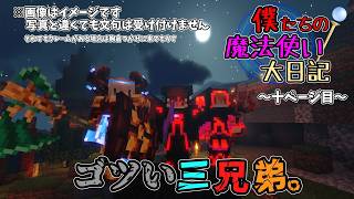 【ゆっくり実況】僕たちの魔法使い大日記～十ページ目～
