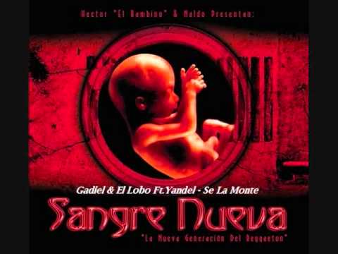 05.Gadiel & El Lobo Ft.Yandel - Se La Monte (Sangre Nueva)