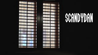 Scandydan