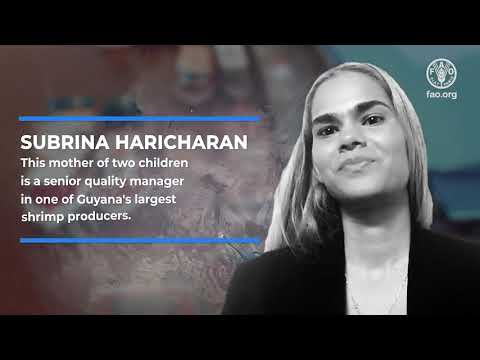 No rain, no gain – Guyana’s Atlantic seabob fishery