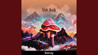 Download lagu Sok Asik mp3