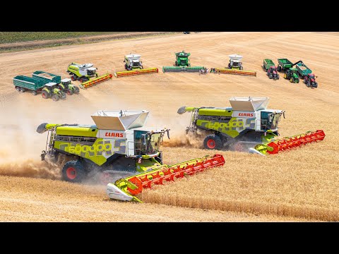 Búza aratás 2025 | 2x Claas Lexion 8900 + Lexion 760 | John Deere X9 1100 |  Sebestyén Farm