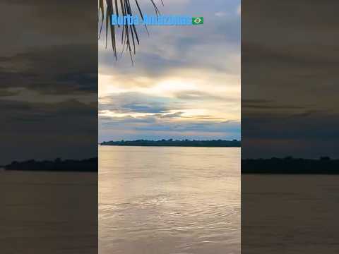 #Borba #amazonas #amazonlife #amazonlifestyle