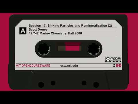 Sinking Particles and Remineralization (2)
