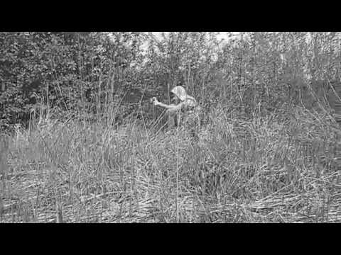 Gangstar WAR - (Ķengarags)