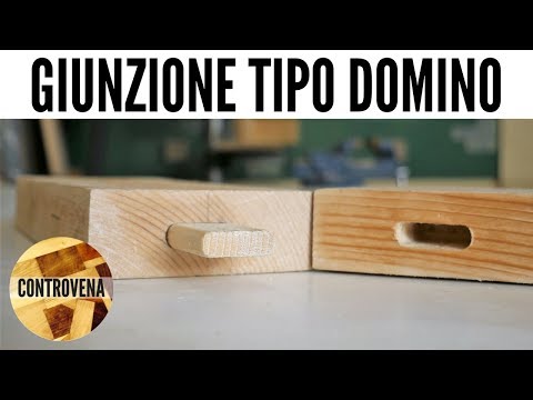 Come determinare da apparizione di vermi Parassiti ed esempi