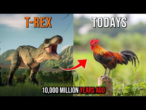 Modern Animals that are Basically Dinosaurs