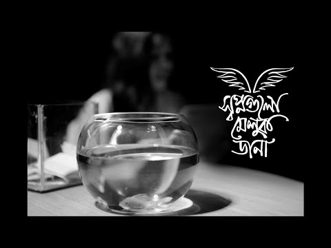 When Dreams Soar (স্বপ্নগুলো মেলুক ডানা)