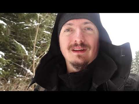 Iarna in Padurile din Harghita - Tinutul Ursilor