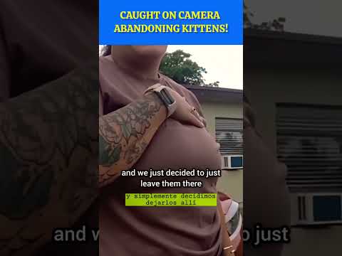Caught on camera! #shorts