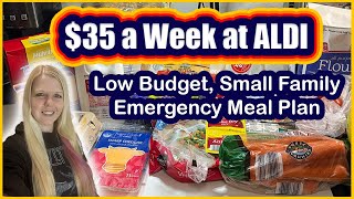 Feeding My Household For $35 a Week | Aldi Budget Meal Plan | Emergency Grocery Haul