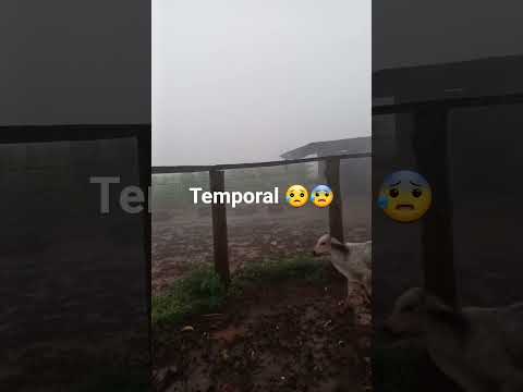 Temporal, Altamira do Paraná