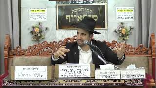 הרב מאיר אליהו | עליית נשמה | מוסאיוף חשון תשפ"ו (רבנים שונים) - התמונה מוצגת ישירות מתוך אתר האינטרנט יוטיוב. זכויות היוצרים בתמונה שייכות ליוצרה. קישור קרדיט למקור התוכן נמצא בתוך דף הסרטון הרב מאיר אליהו | עליית נשמה | מוסאיוף חשון תשפ"ו (רבנים שונים) - התמונה מוצגת ישירות מתוך אתר האינטרנט יוטיוב. זכויות היוצרים בתמונה שייכות ליוצרה. קישור קרדיט למקור התוכן נמצא בתוך דף הסרטון